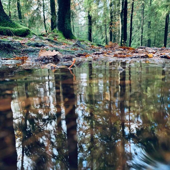 Panoramavy Naera Gbg Och Natur Olofstorp 外观 照片