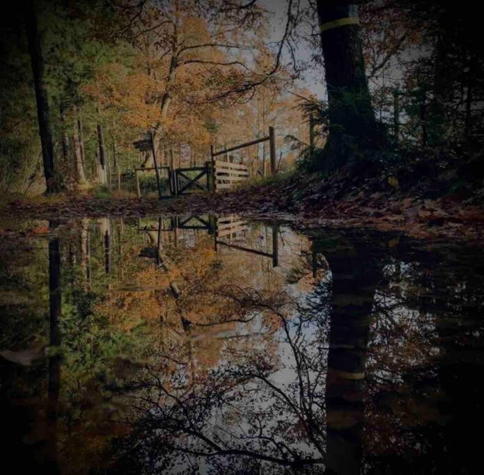 Panoramavy Naera Gbg Och Natur Olofstorp 外观 照片