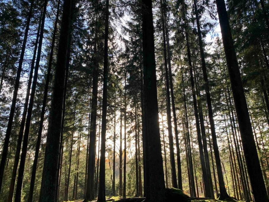 Panoramavy Naera Gbg Och Natur Olofstorp 外观 照片