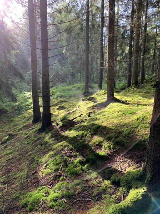 Panoramavy Naera Gbg Och Natur Olofstorp 外观 照片